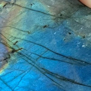 Meet your Posher, Keri